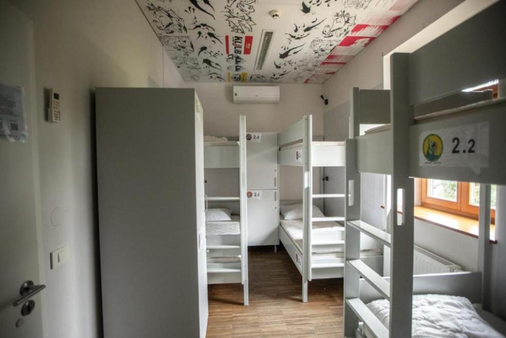 6-Bed Female Dormitory Room,1756450655:JPEG